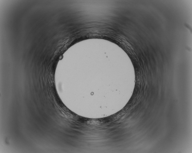X0000097840419200804041448