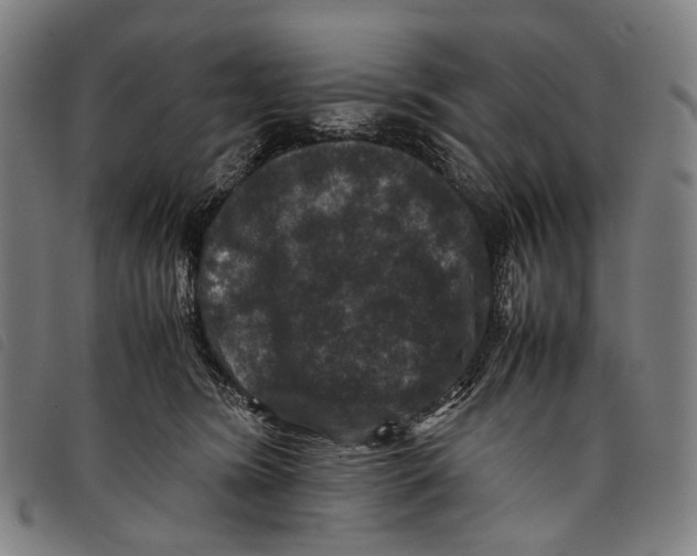 X0000097840420200804041448