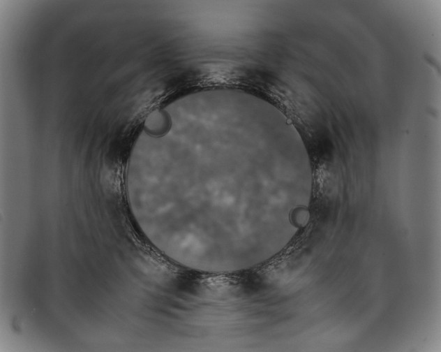 X0000097840423200804041448