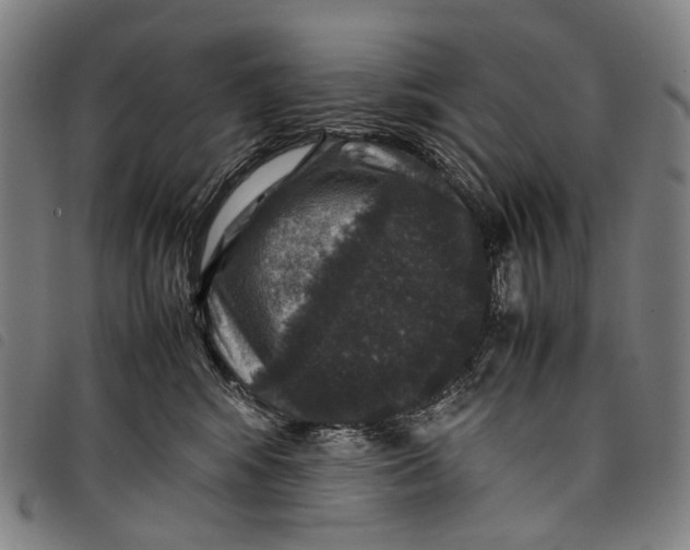 X0000097840424200804041448