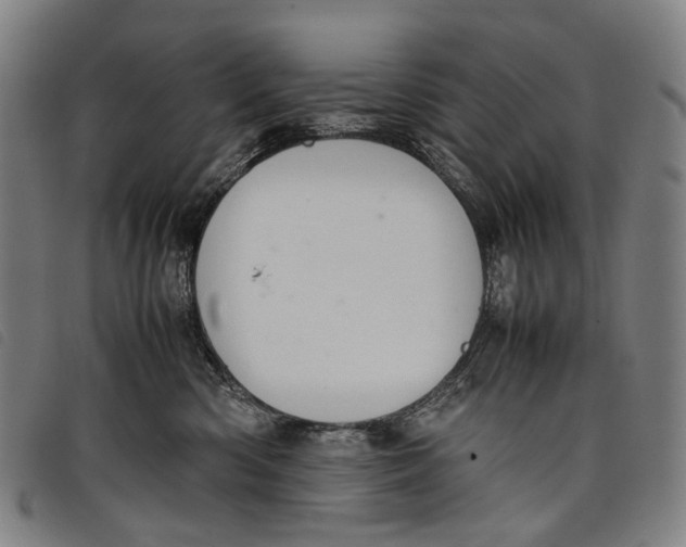 X0000097840426200804041448