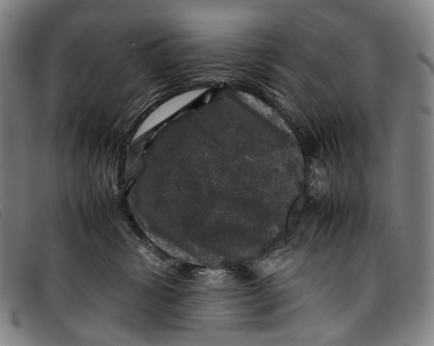 X0000097840428200804041448