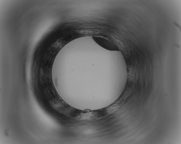 X0000097840430200804041448