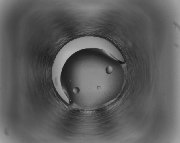 X0000097840432200804041448