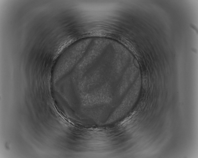 X0000097840434200804041447