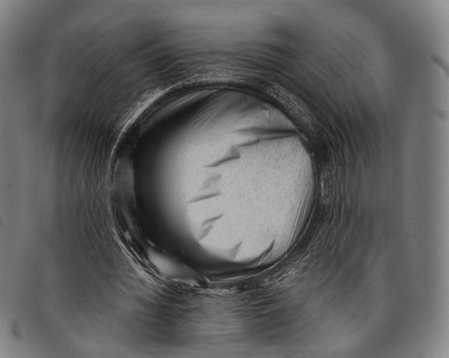 X0000097840436200804041447