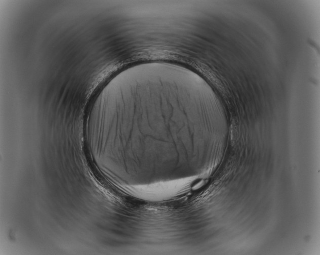 X0000097840438200804041447