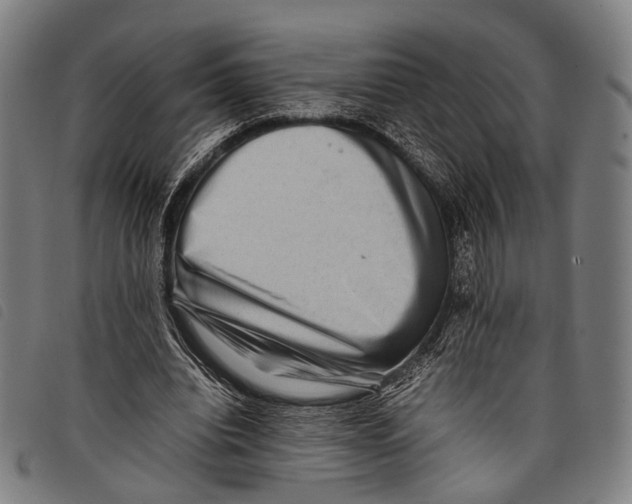 X0000097840440200804041447