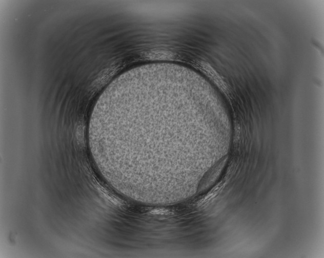 X0000097840441200804041447
