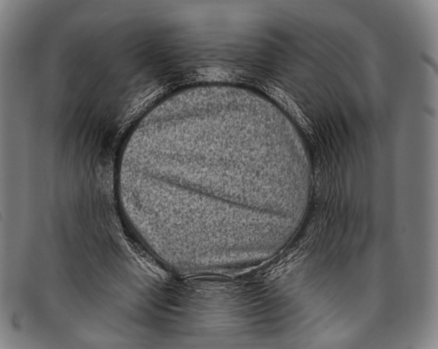 X0000097840442200804041447