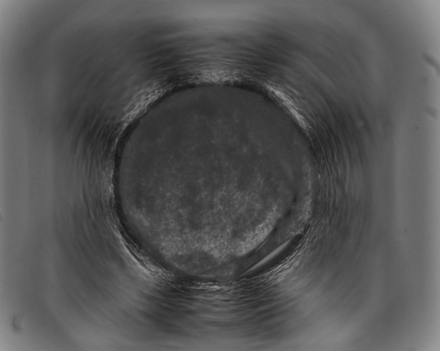 X0000097840443200804041447