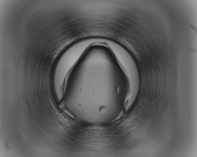X0000097840444200804041447