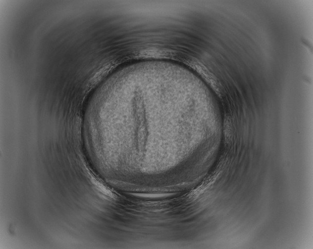 X0000097840445200804041447