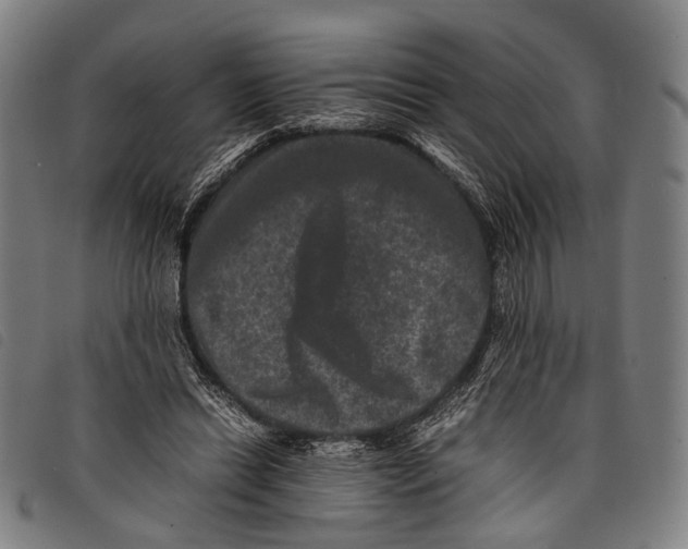 X0000097840446200804041447