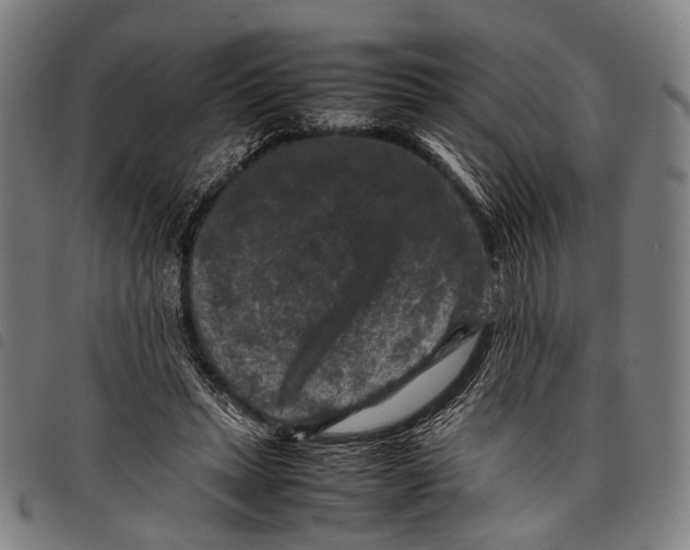 X0000097840447200804041447