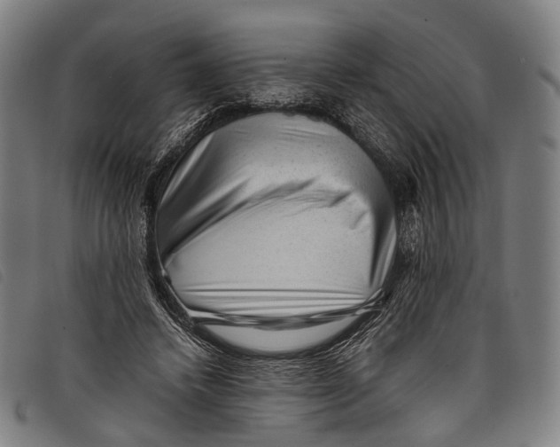X0000097840448200804041447