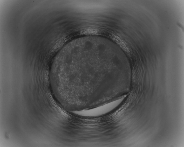 X0000097840449200804041447