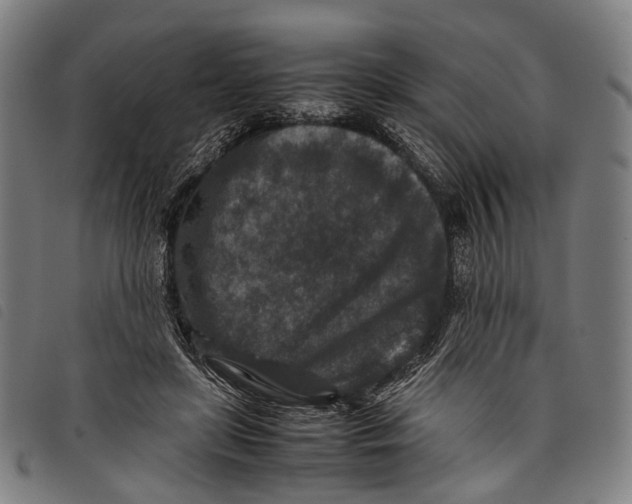 X0000097840451200804041447