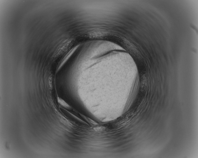 X0000097840452200804041447
