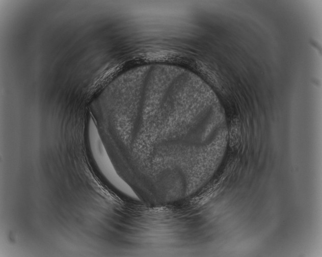 X0000097840454200804041447