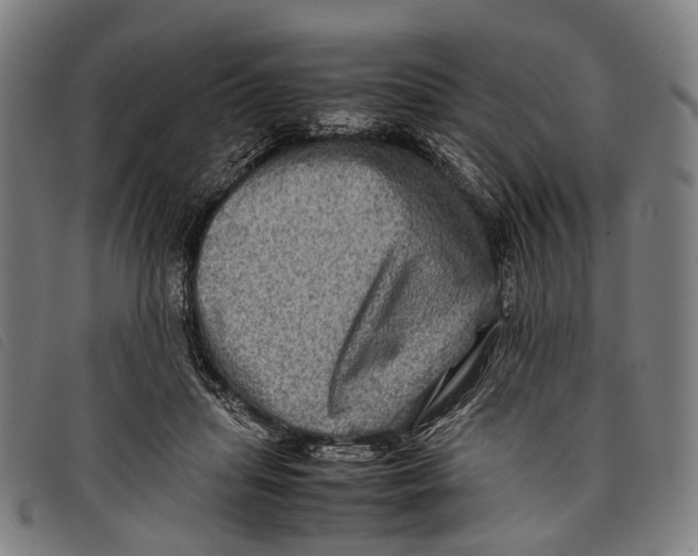 X0000097840455200804041447