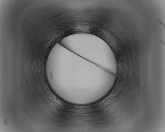X0000097840457200804041447