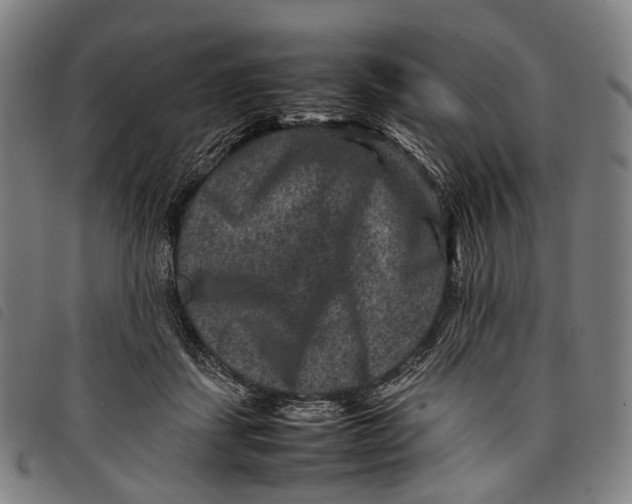X0000097840459200804041447