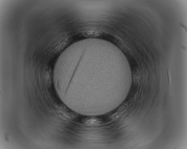 X0000097840460200804041447