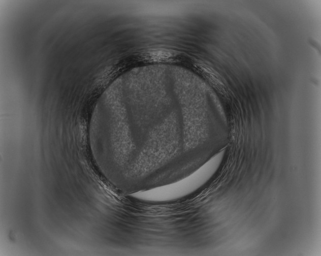 X0000097840461200804041447