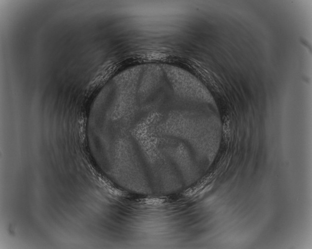 X0000097840462200804041447