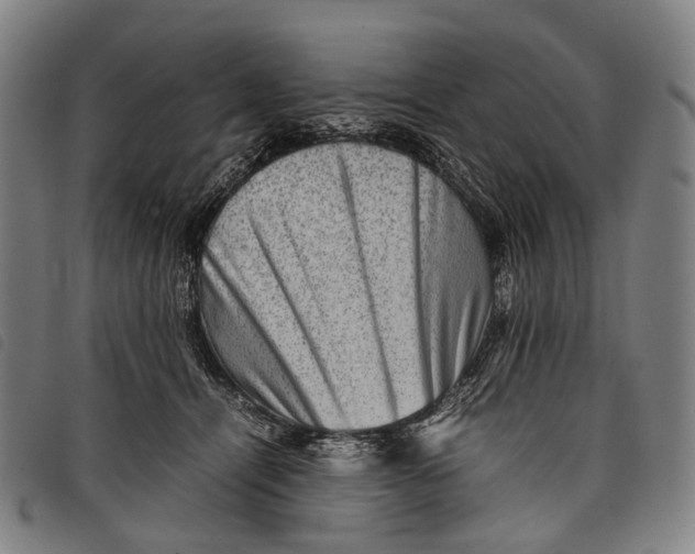 X0000097840464200804041447