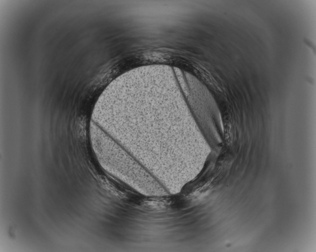 X0000097840466200804041447