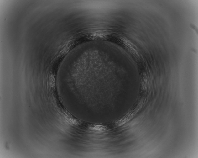 X0000097840467200804041447
