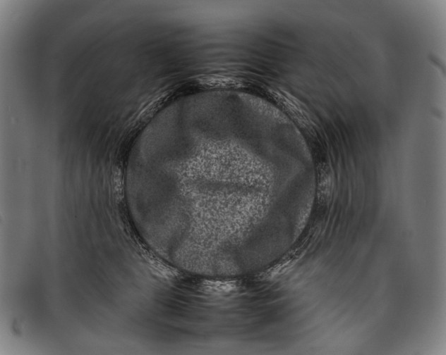 X0000097840469200804041447