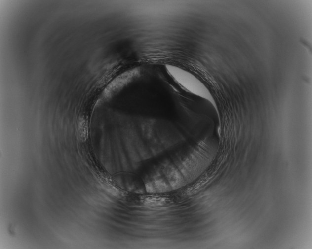 X0000097840471200804041447