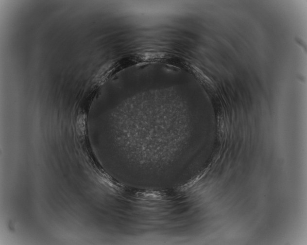 X0000097840475200804041447