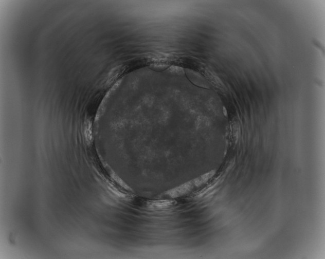 X0000097840479200804041447