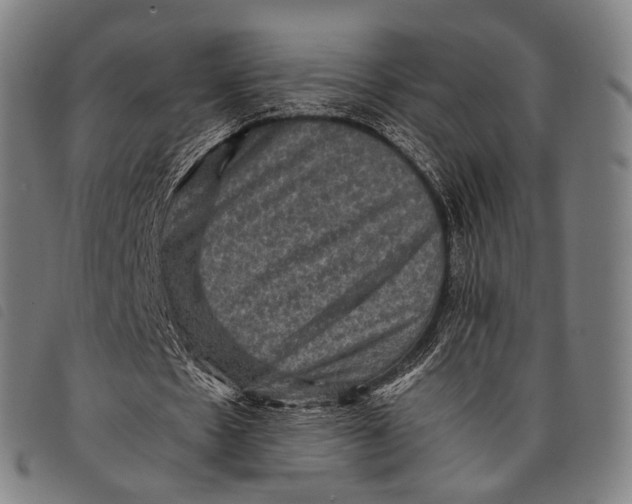 X0000097840481200804041447