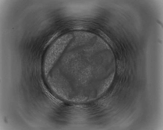X0000097840482200804041447