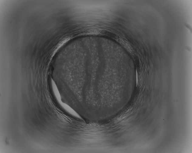 X0000097840483200804041447