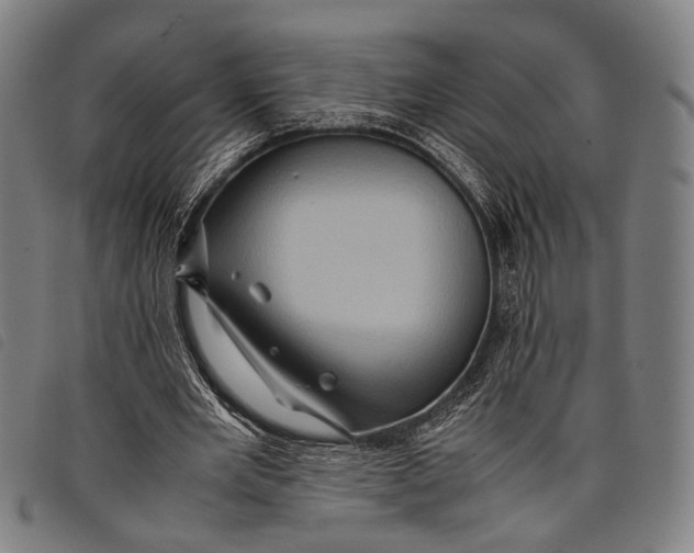 X0000097840485200804041447