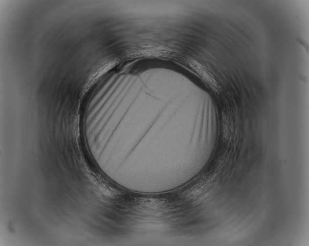 X0000097840486200804041447