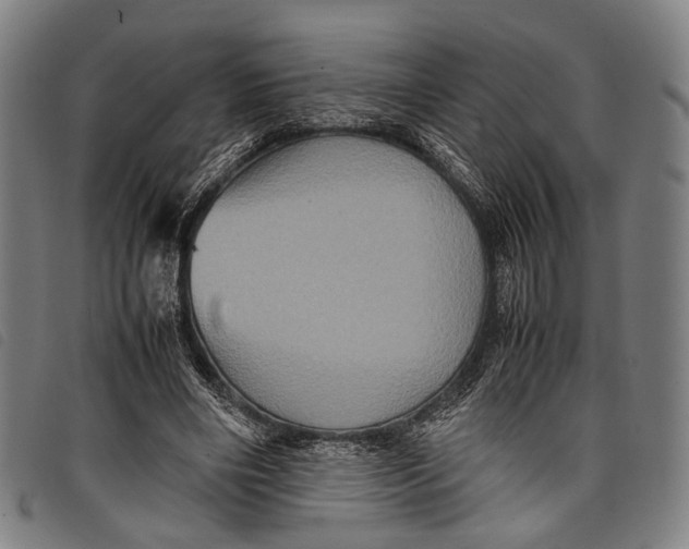 X0000097840490200804041447