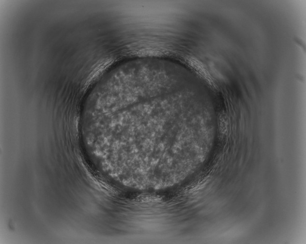 X0000097840491200804041447