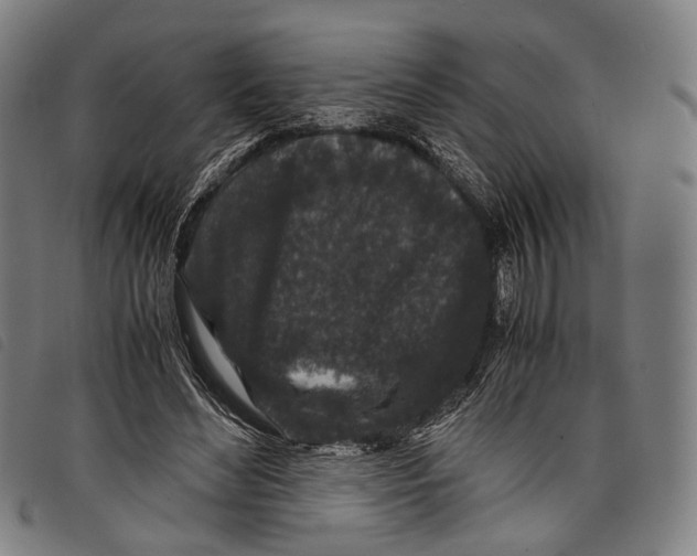 X0000097840492200804041447