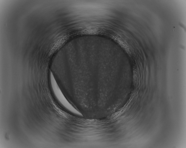 X0000097840493200804041447