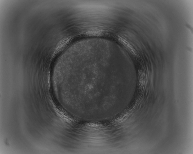 X0000097840494200804041447