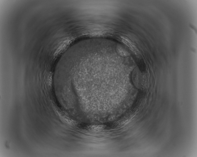 X0000097840495200804041447