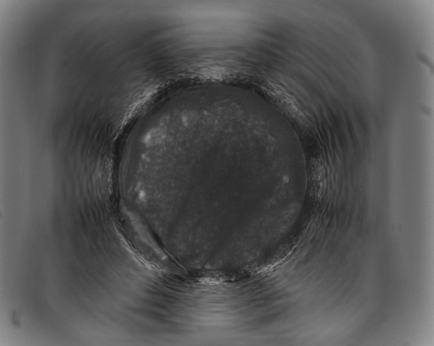 X0000097840496200804041447