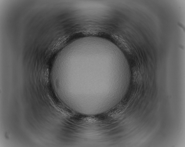 X0000097840498200804041447
